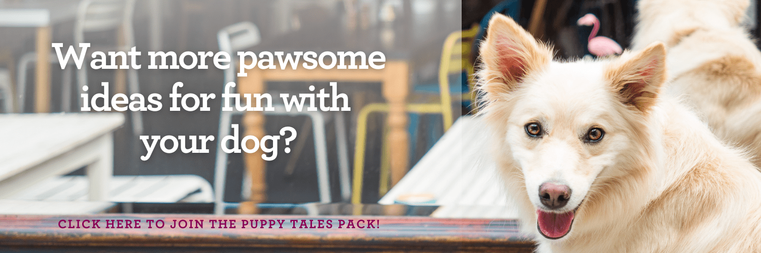 Get awesome ideas for fun with your dog by joining the Puppy Tales pack. Click here!