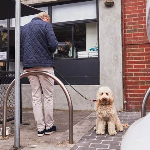A medium sized dog with floppy ears eagerly looks at the camera while being held on a leash by its owner outside a pet-friendly cafe in Melbourne