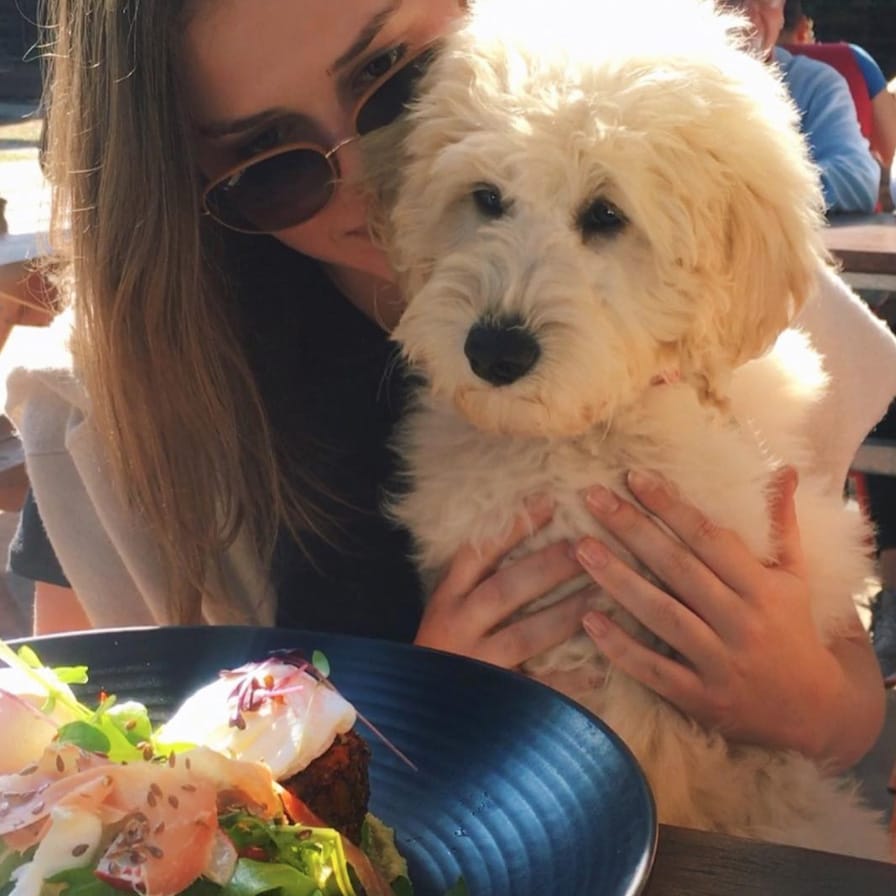 A woman holds her dog as they pose for a photo in a dog-friendly cafe in Melbourne, gazing at the delicious food that is served in the cafe