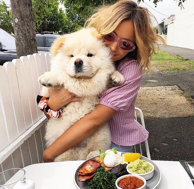 In a dog-friendly lunch spot in Melbourne, a woman affectionately embraces her cute white dog, both enjoying the friendly and welcoming environment of the cafe. A plate of healthy food for her can be seen on the table.