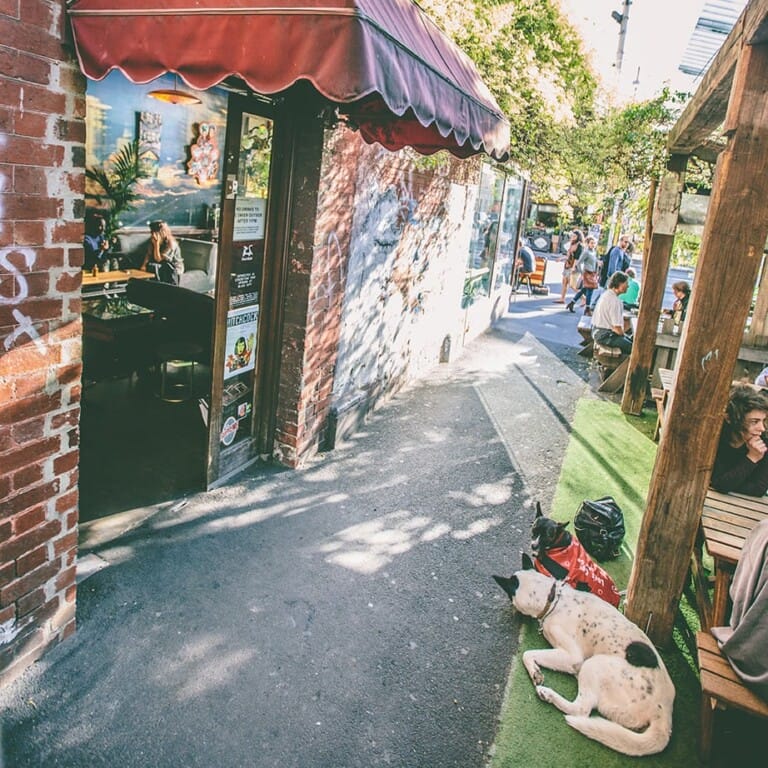 dog-friendly-cafes-in-melbourne-the-ultimate-list-puppy-tales