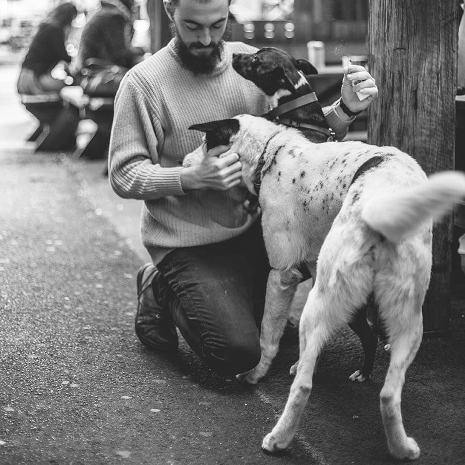 In a black and white photo, an owner stands with his two dogs - a small and a large pooch - in a dog-friendly cafe in Melbourne, where dogs are always welcome.