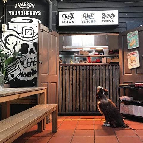A brown dog looks up at the counter of a pet-friendly place in Melbourne, watching for any signs of attention from the staff.