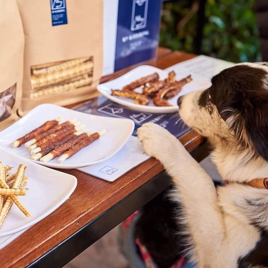 A photo of a mischievous dog standing on the counter of a dog-friendly restaurant in Melbourne, eagerly gazing at the tempting human food in front of him.