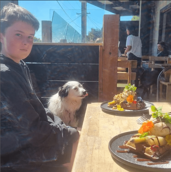 Owner and dog dining outside a pet friendly cafe in Melbourne with some food on the table