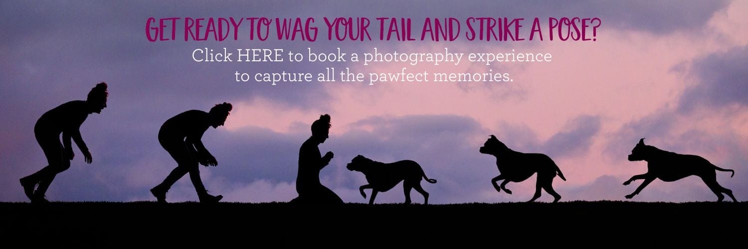 Get ready to wag your tail and strike a pose with Puppy Tales Photography. Click here!