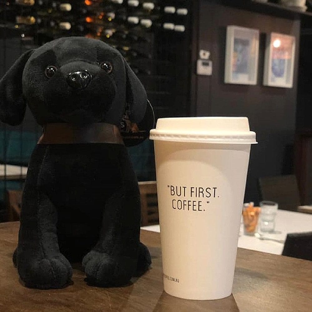 A cup of coffee to go on top of a table with a toy dog in a dog friendly place in Canberra