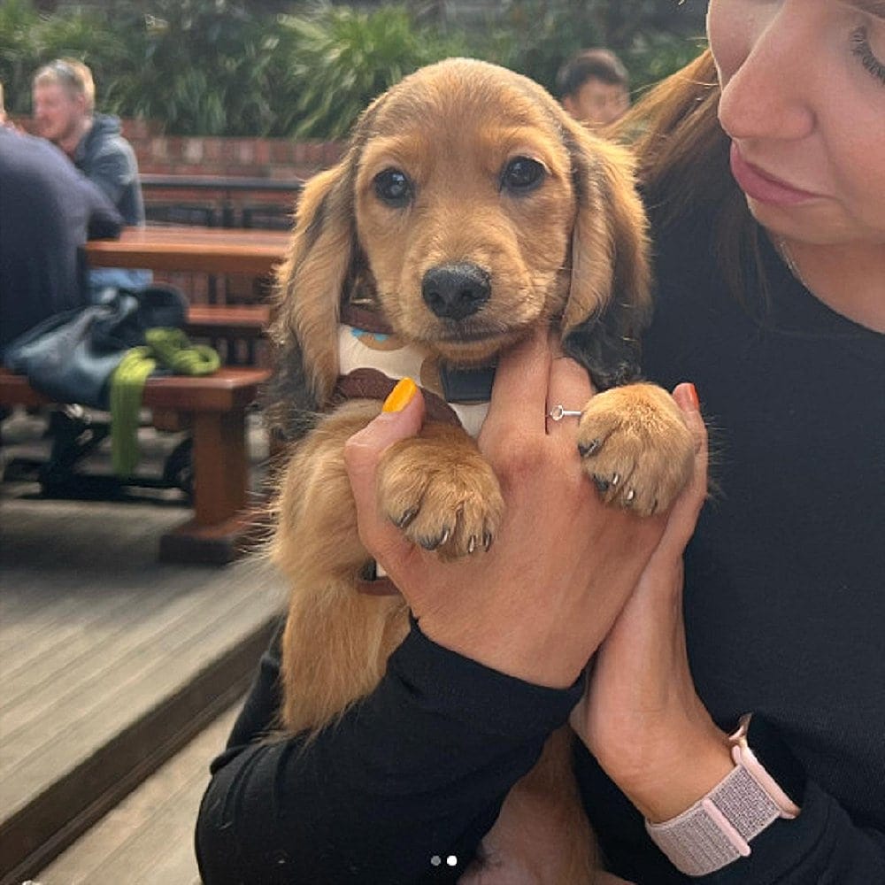 A woman is holding her puppy in one hand as they dine outside a dog friendly cafe in Canberra