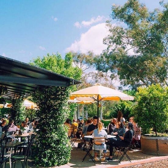 Gorgeous view of the outdoor dining space of a dog friendly cafe in Canberra called Doubleshot Deakin