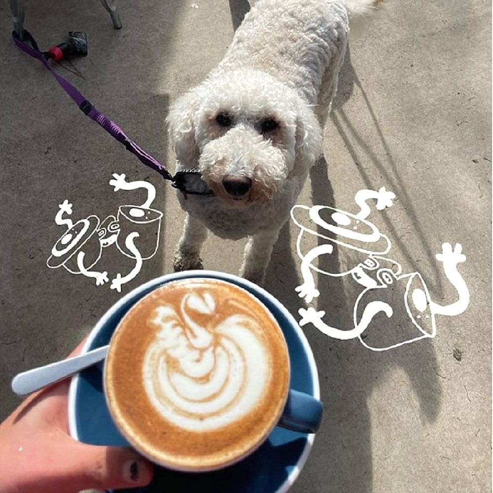 A person is holding a cup of coffee with a view of the dog below. They are in a dog friendly cafe in Canberra.