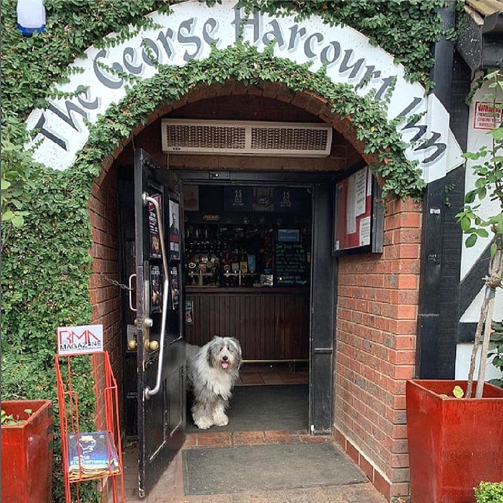 A full view of The George Harcourt Inn's logo in the entrance with a dog peeking through