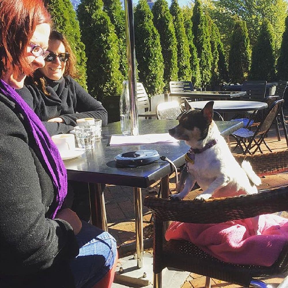 Two women and their dog dining on a pet friendly cafe in Canberra