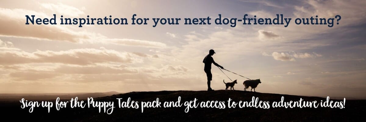 Get inspiration for your next dog friendly outing by joining the Puppy Tales Pack