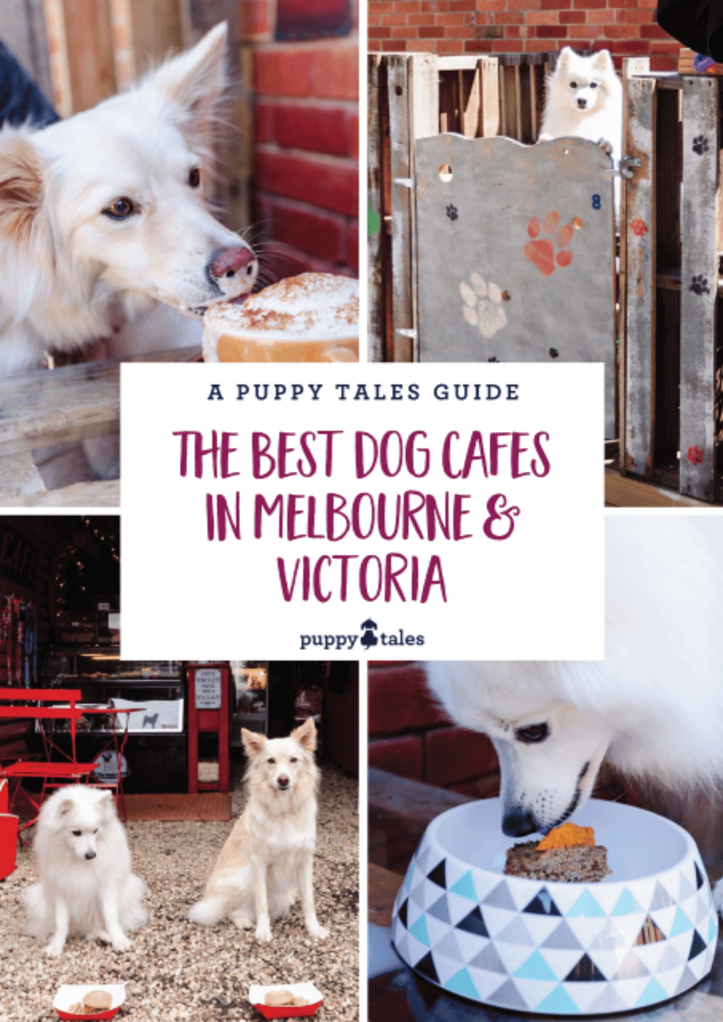 The Best Dog Cafes in Melbourne and Victoria Cover