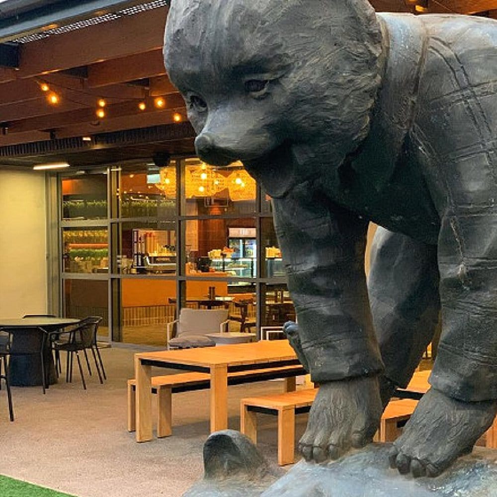Dog friendly brunch spot in Canberra that has a huge outdoor space for pets