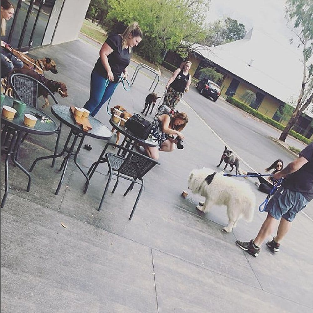 Canberra's dog friendly cafe: On the Grind Cafe