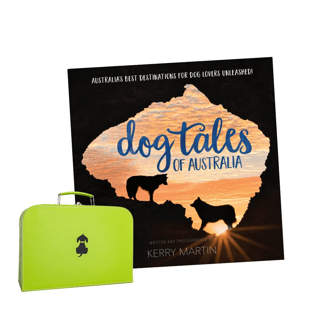 DToA Book and Travel Suitcase