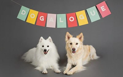 puppytalesphotography projectdogalogue keikosummer 2
